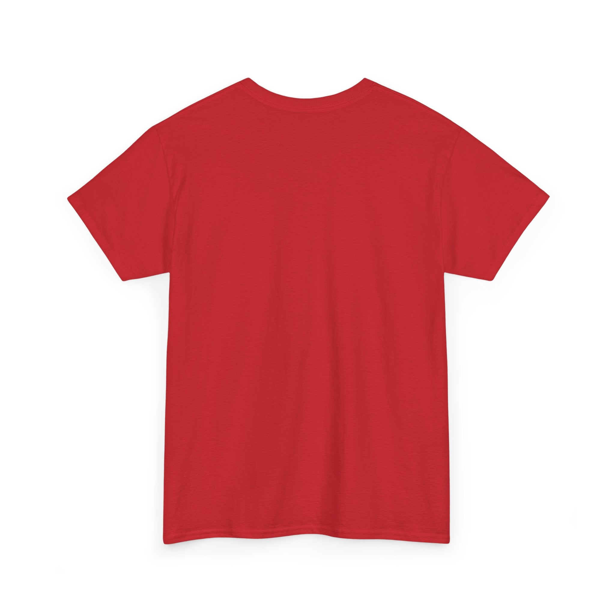 Unisex American Flag Longhorn Tee