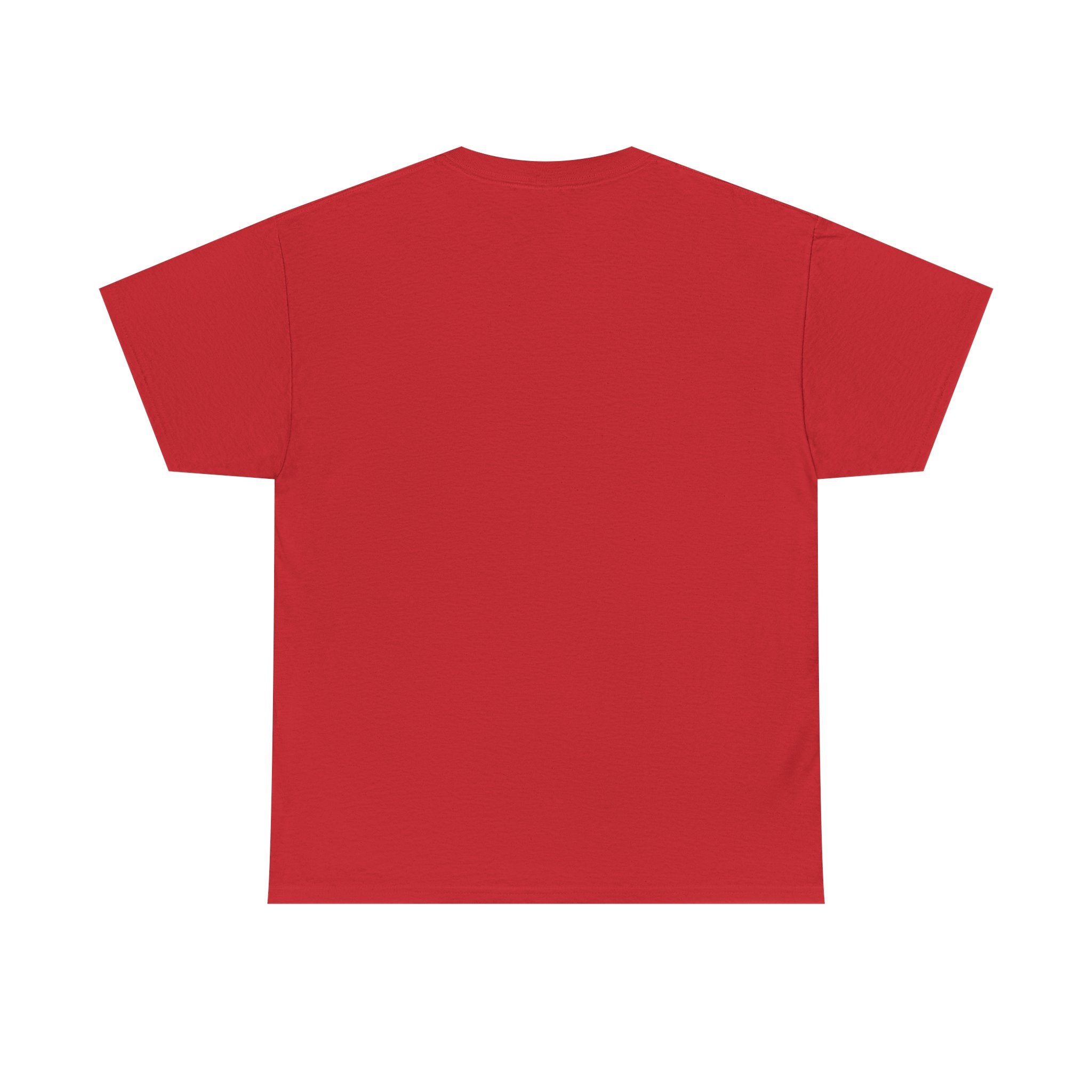 Unisex American Flag Longhorn Tee